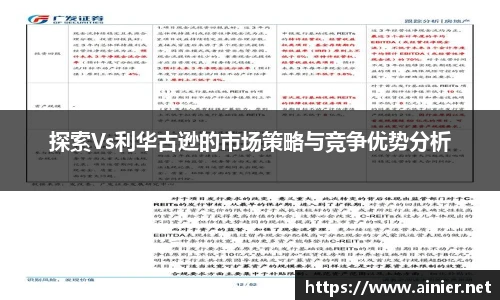 探索Vs利华古逊的市场策略与竞争优势分析